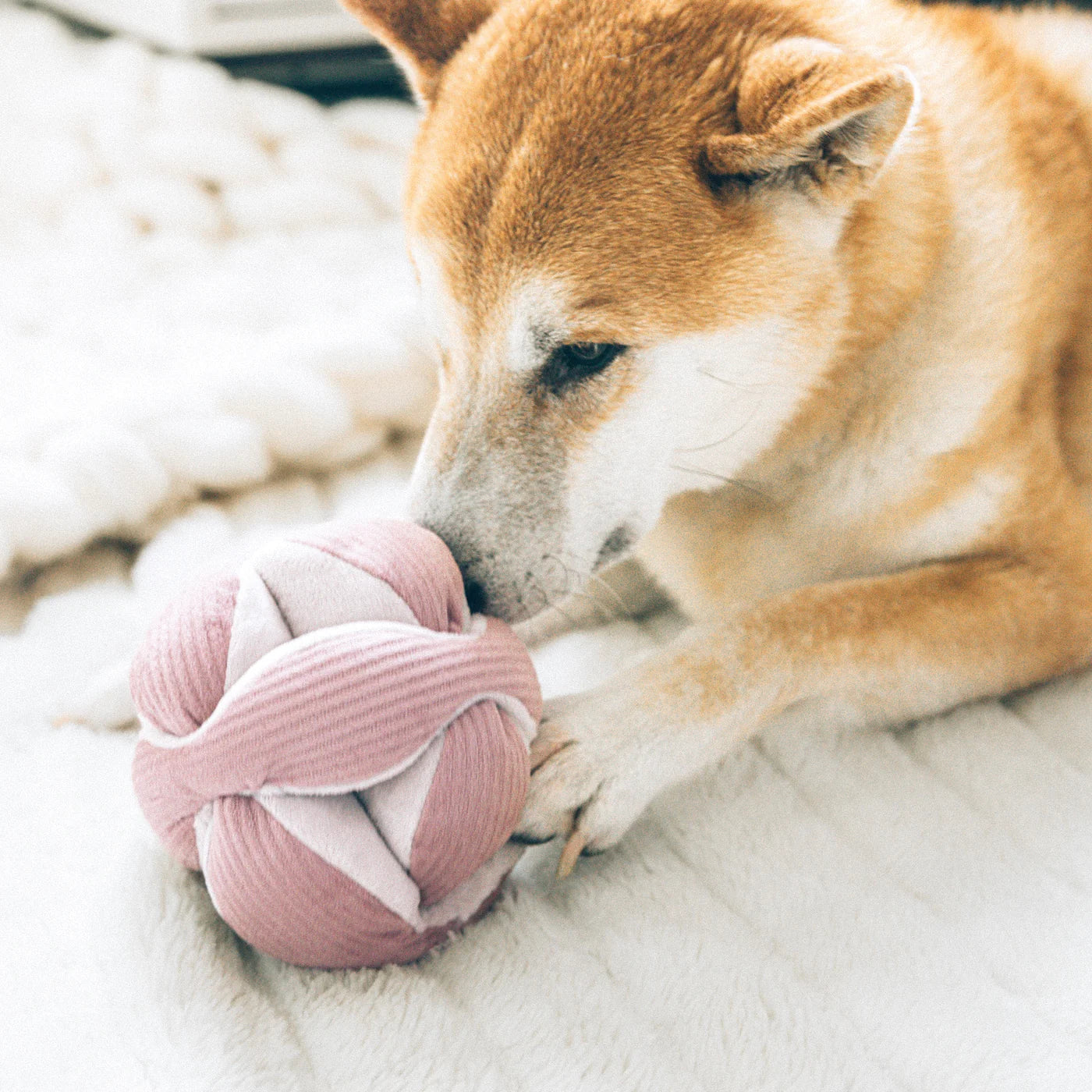 Monti Enrichment Toy - Pink
