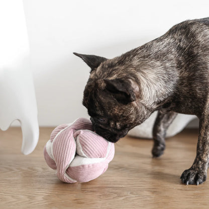 Monti Enrichment Toy - Pink