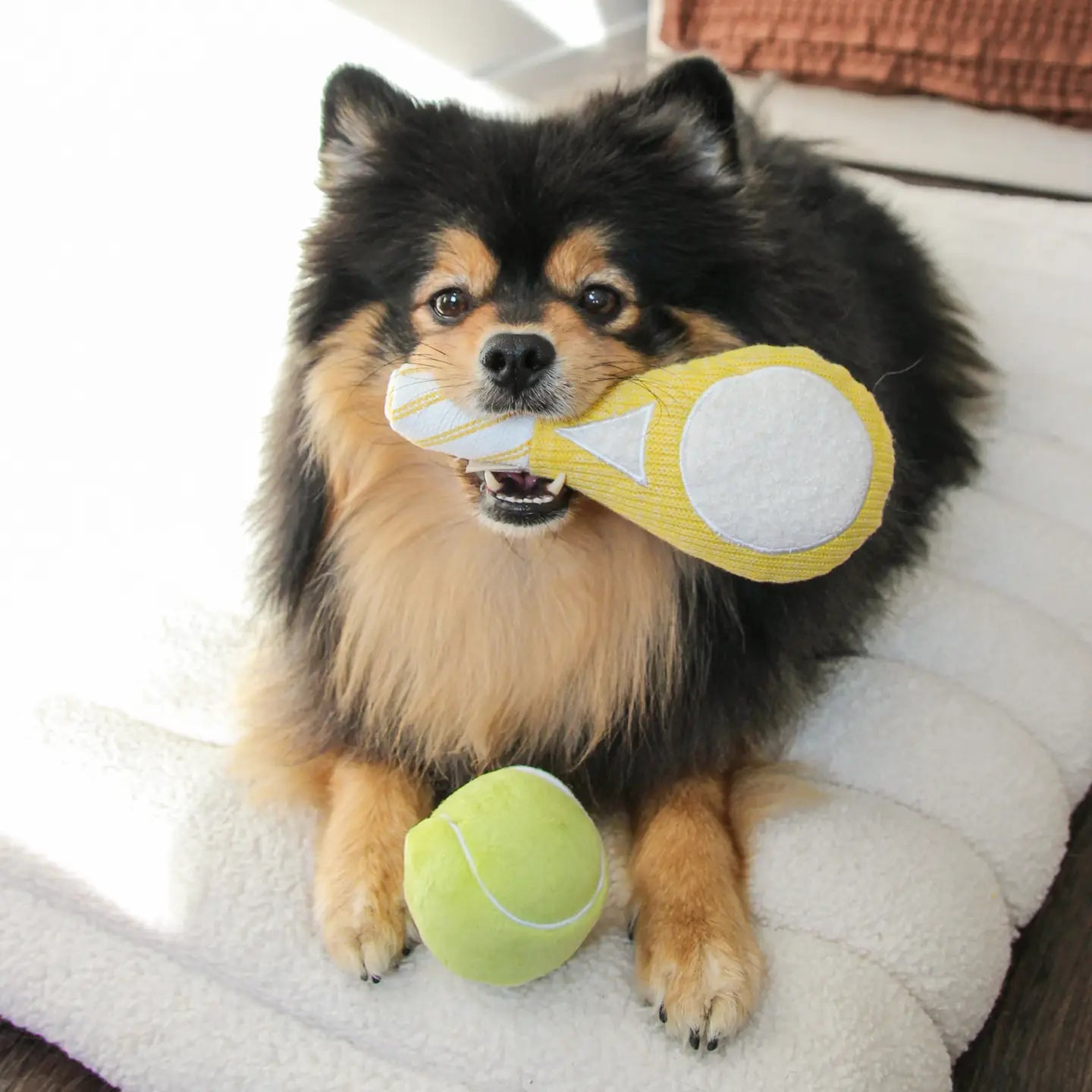 Tennis Pop Enrichment Toy