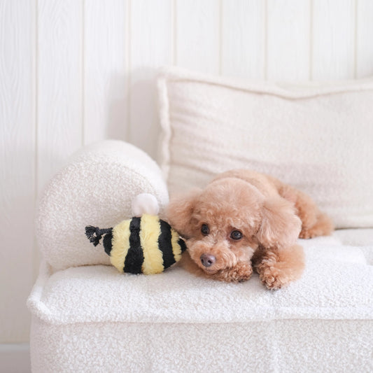 Bee Pop Enrichment Toy