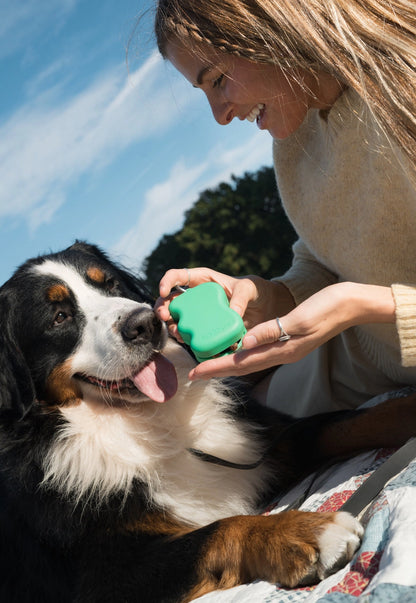 Treat Dispenser - Green