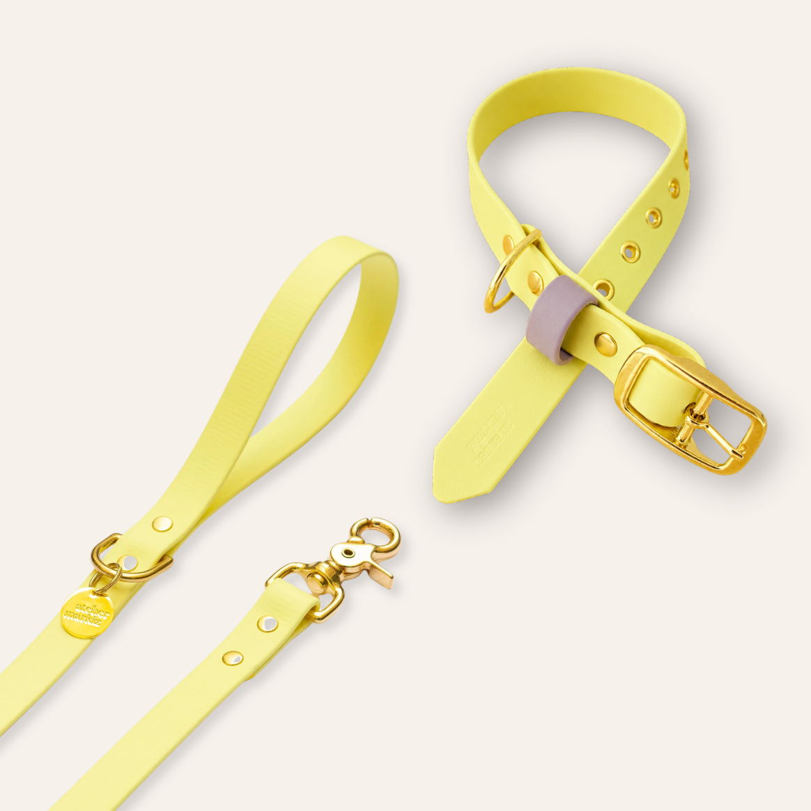 Collar & Leash - Pastel Yellow / Lavender
