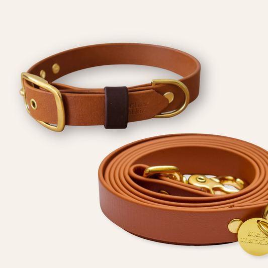 Collar & Leash - Camel