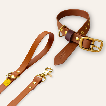 Collar & Leash - Camel