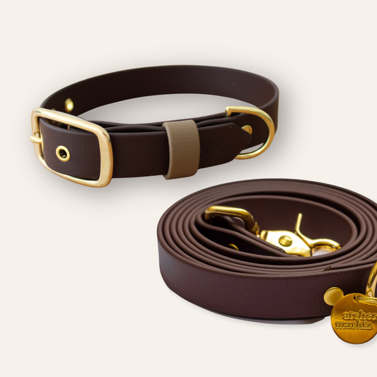 Collar & Leash - Chocolate
