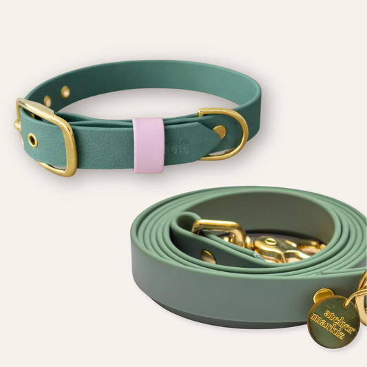Collar & Leash - Foliage