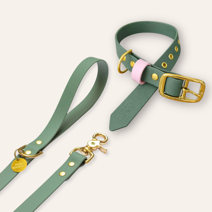 Collar & Leash - Foliage