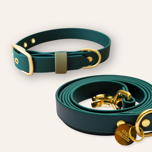 Collar & Leash - Forest Green