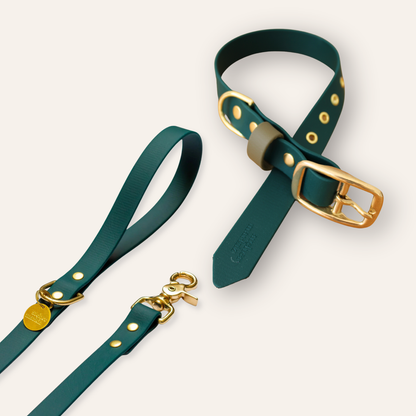 Collar & Leash - Forest Green