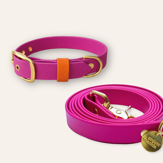 Collar & Leash - Fuchsia
