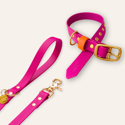Collar & Leash - Fuchsia