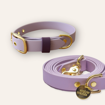 Collar & Leash - Lavender
