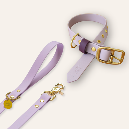 Collar & Leash - Lavender