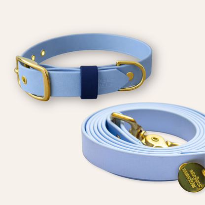 Collar & Leash - Light Blue