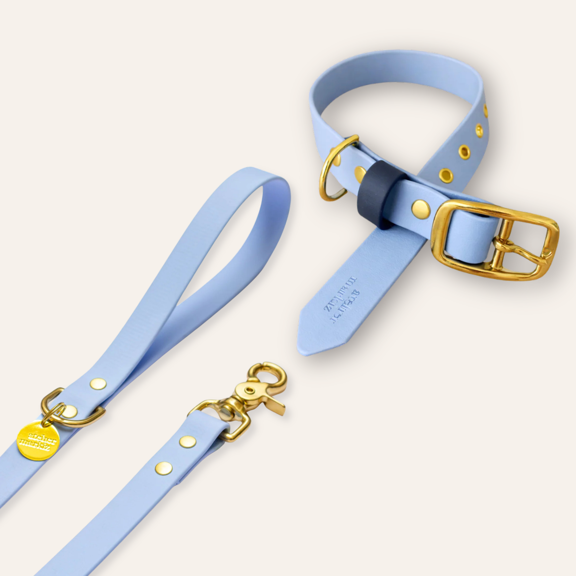 Collar & Leash - Light Blue