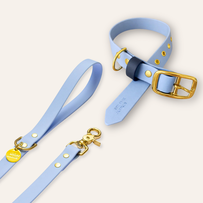 Collar & Leash - Light Blue