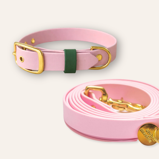 Collar & Leash - Light Pink