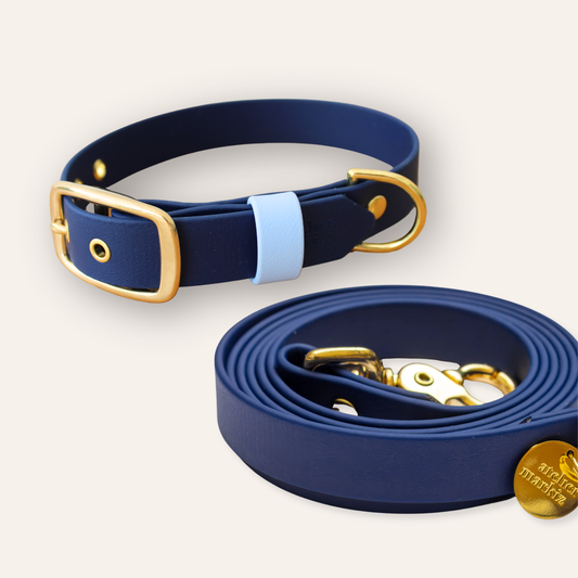 Collar & Leash - Navy