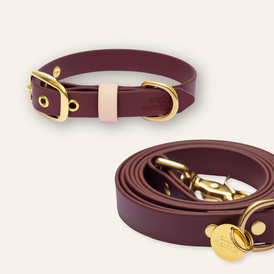 Collar & Leash - Saddle / Nude