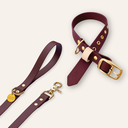 Collar & Leash - Saddle / Nude