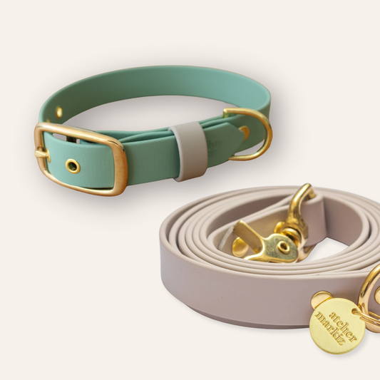 Collar & Leash - Sage