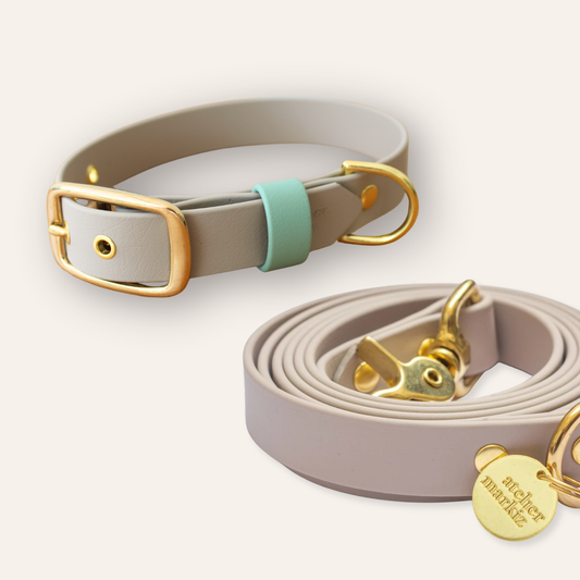 Collar & Leash - Sand