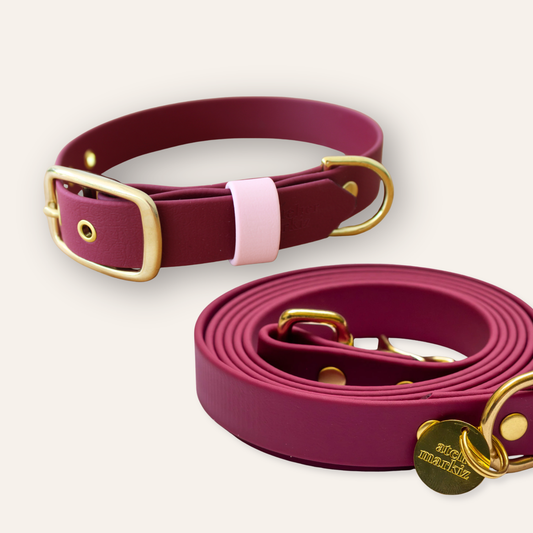 Collar & Leash - Sangria