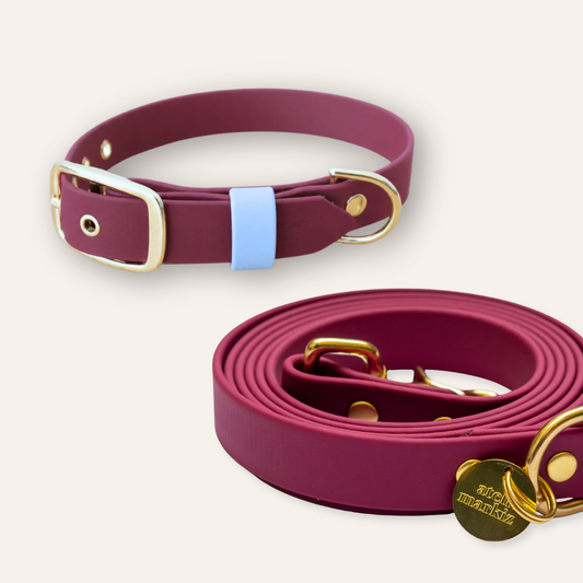 Collar & Leash - Sangria / Light Blue