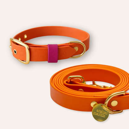 Collar & Leash - Tangerine