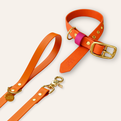 Collar & Leash - Tangerine