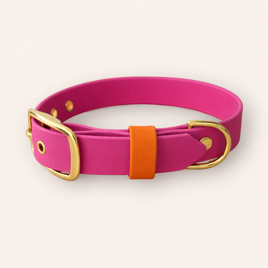 Collar - Fuchsia / Tangerine