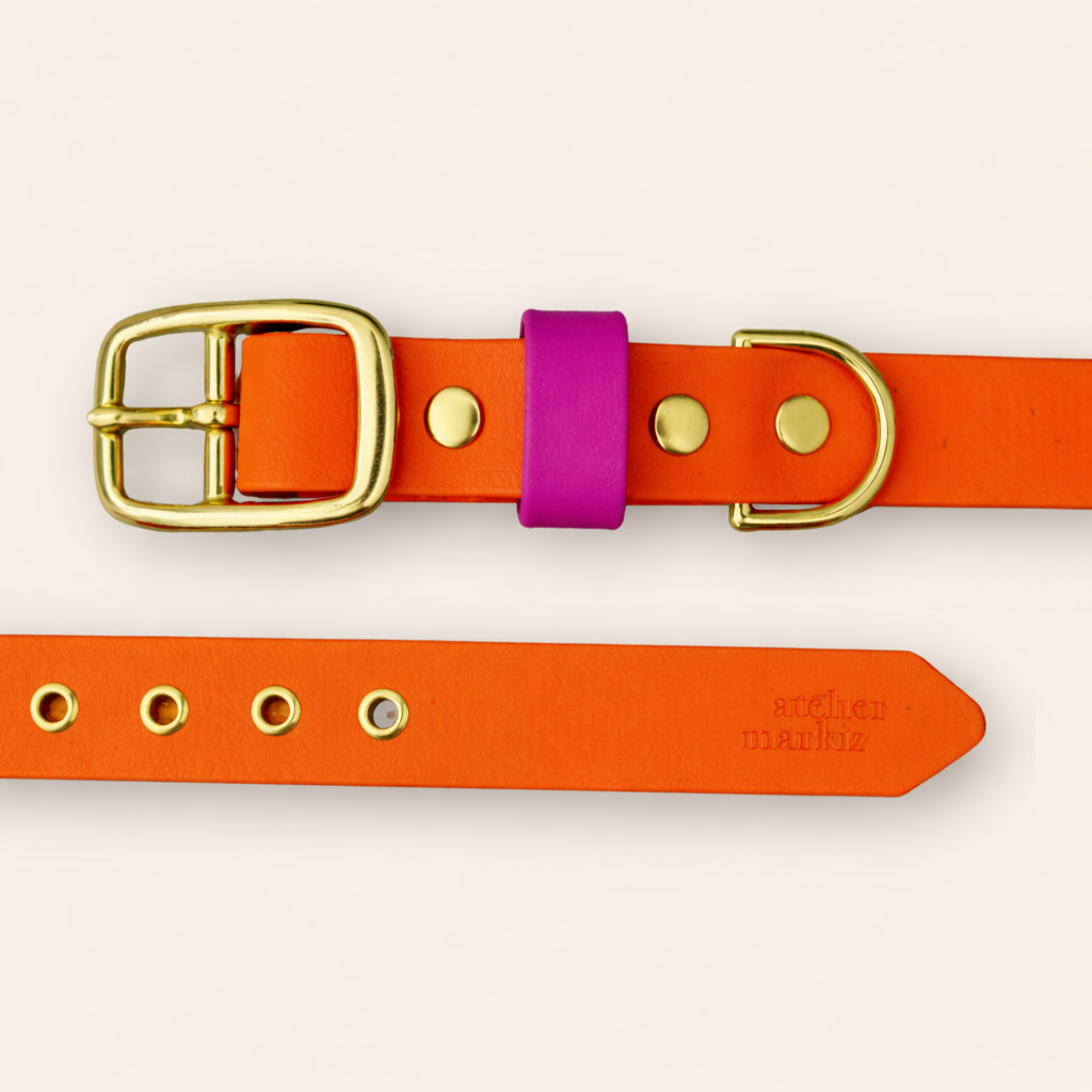 Collar & Leash - Tangerine