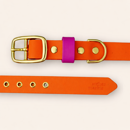 Collar & Leash - Tangerine