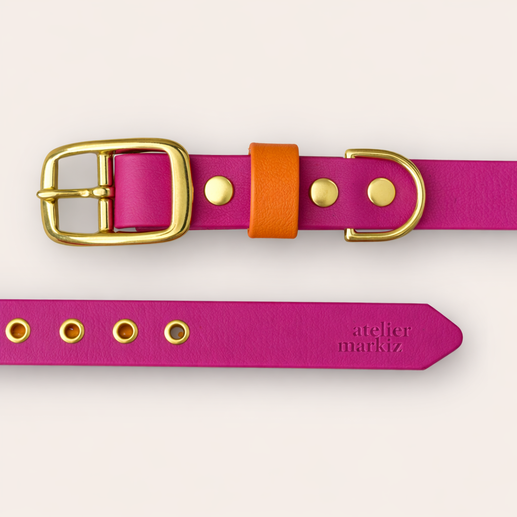 Collar & Leash - Fuchsia