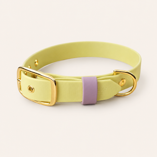 Collar - Pastel Yellow / Lavender