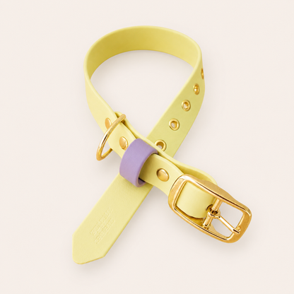 Collar - Pastel Yellow/ Lavender