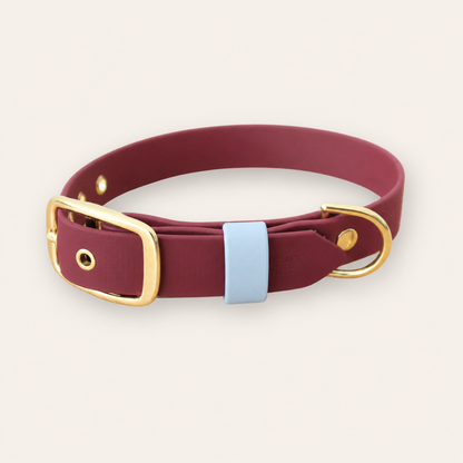 Collar & Leash - Sangria / Light Blue