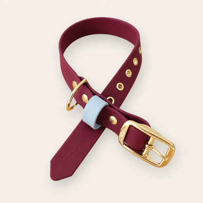 Collar & Leash - Sangria / Light Blue