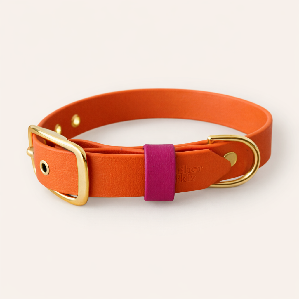 Collar & Leash - Tangerine