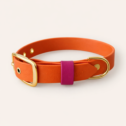 Collar & Leash - Tangerine