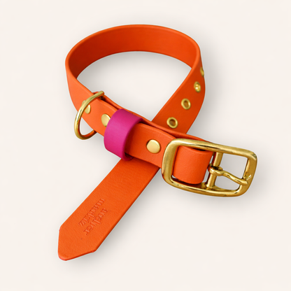Collar & Leash - Tangerine