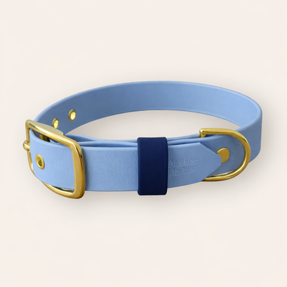 Collar - Light Blue / Navy