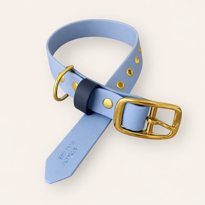 Collar - Light Blue / Navy