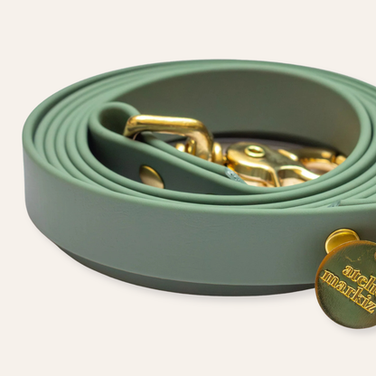Collar & Leash - Foliage