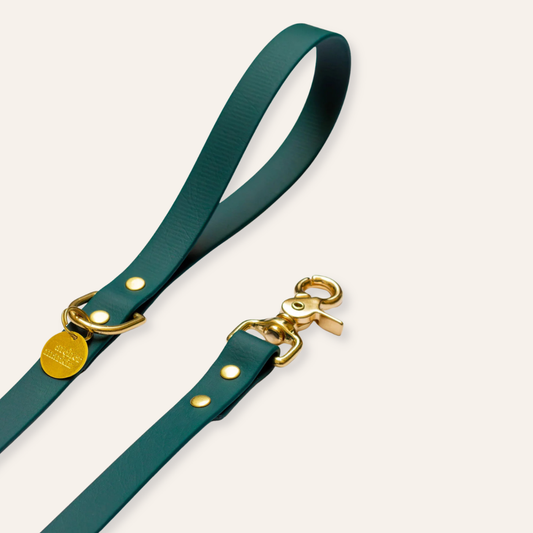 Waterproof Leash - Forest Green