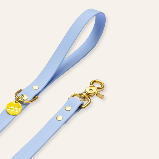 Waterproof Leash - Light Blue