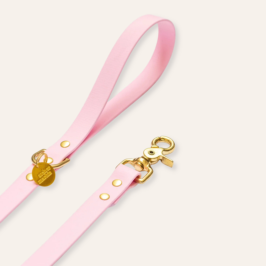 Waterproof Leash - Light Pink