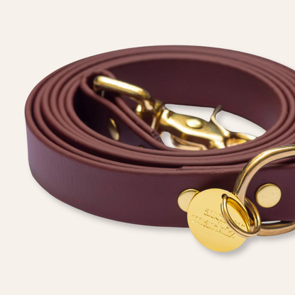 Collar & Leash - Saddle / Nude