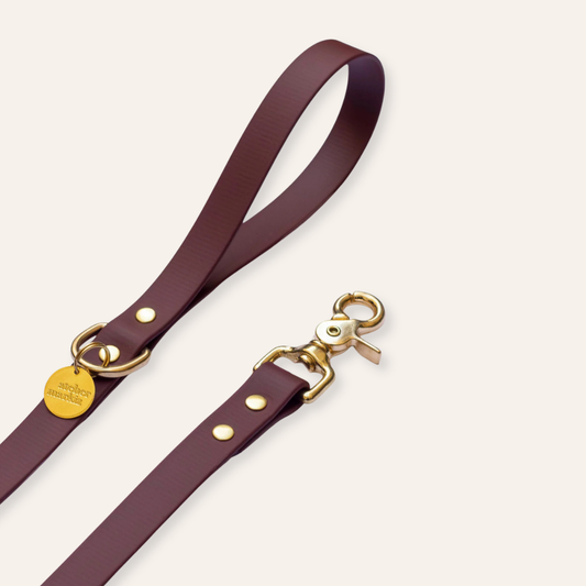 Waterproof Leash - Saddle