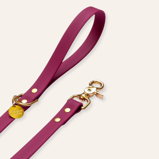 Waterproof Leash - Sangria